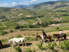 France-Auvergne-Beaujolais Wine & Villages